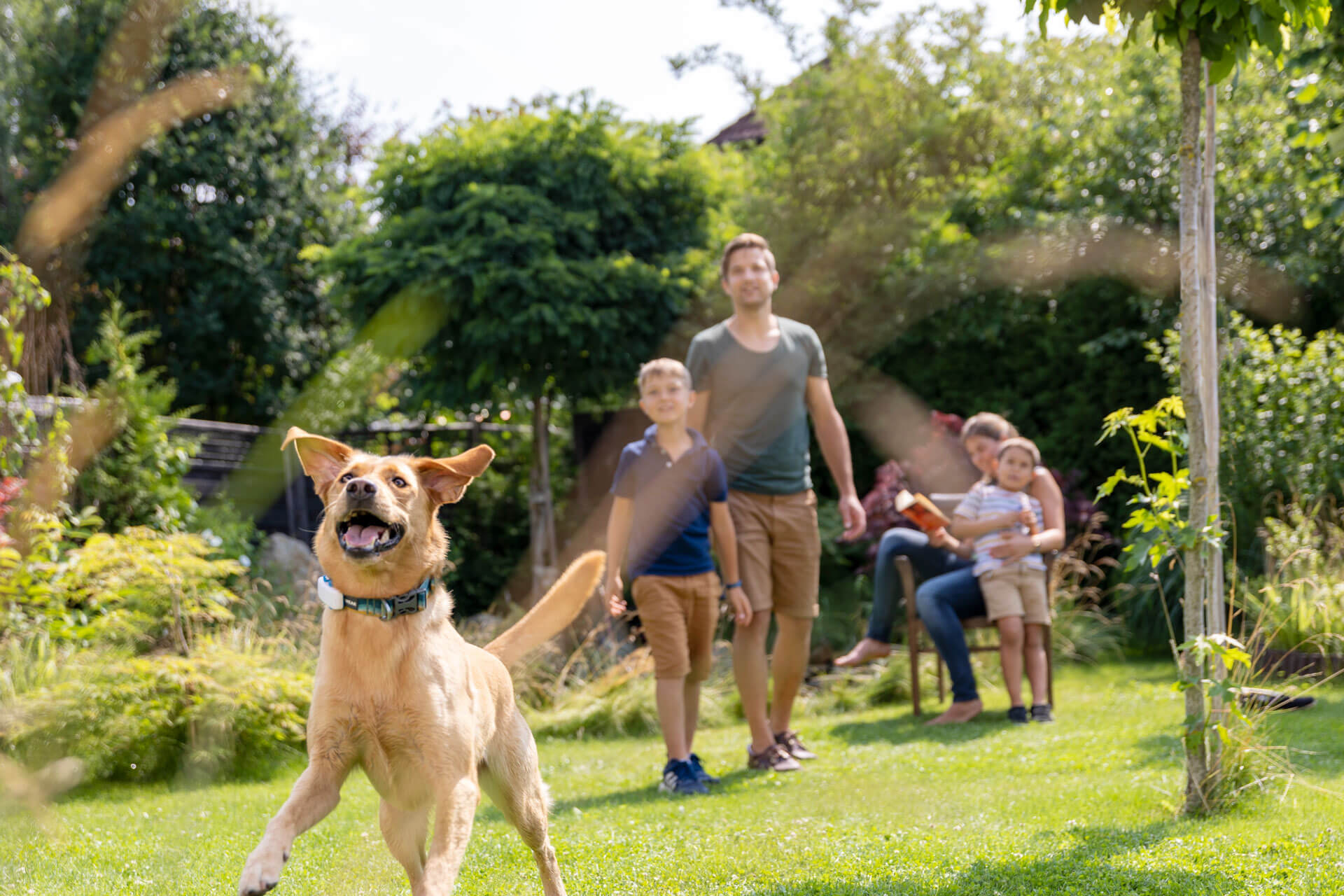 Perro en primer plano con localizador y familia detrás.