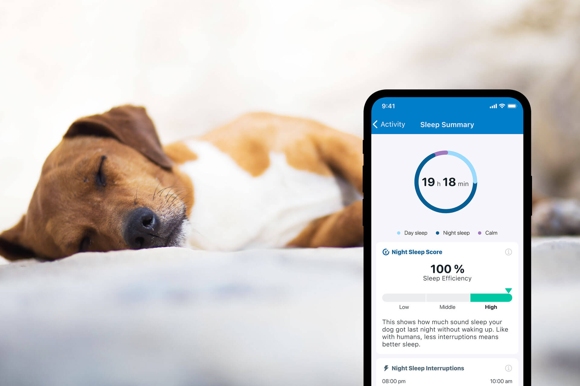 Hund som sover i bakgrunden och Tractive GPS-app med sömn- och aktivitetsspårning i förgrunden
